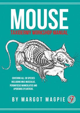 Mouse taxidermy workshop manual